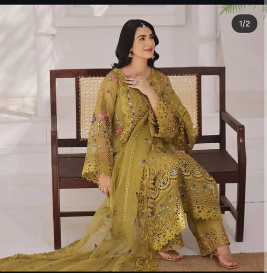 Aneelas Green Organza Luxury