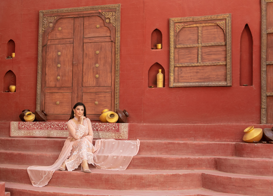 Tawakal Eunoia Embroided Fancy Chiffon D1913